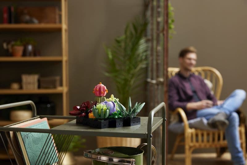 LEGO Creator Succulents για 18+ Ετών 771τμχ 10309 11