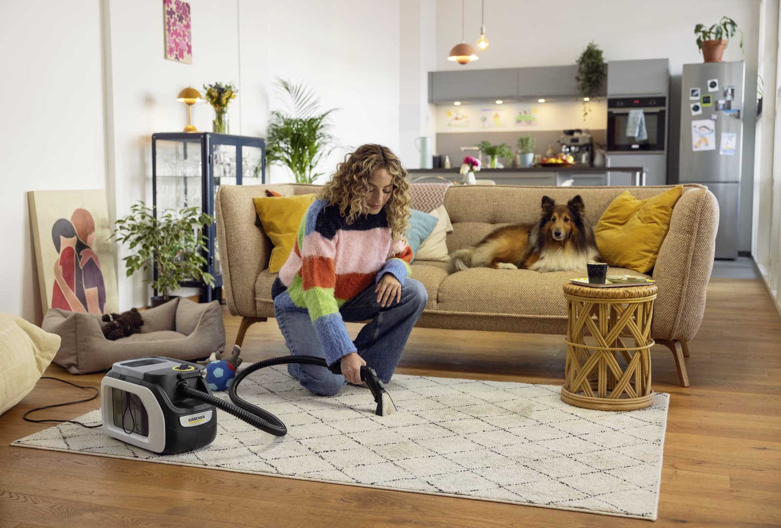 Karcher SE 3 Compact Home Σκούπα Υγρών / Στερεών 500W με Πλαστικό Κάδο 2.9lt 6