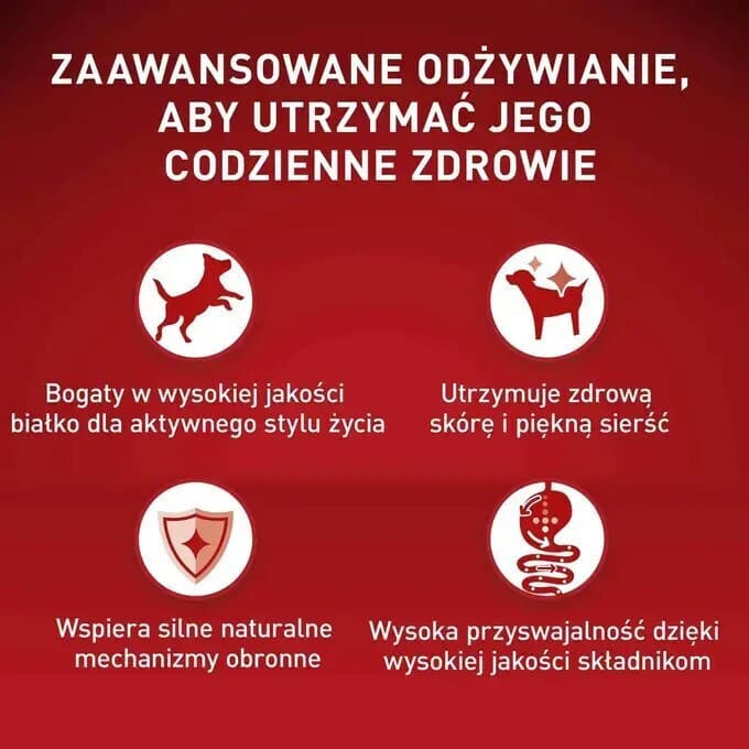 Purina One Υγρή Τροφή Σκύλων σε Φακελάκι με Βοδινό και Κρέας χωρίς Γλουτένη 85gr 2