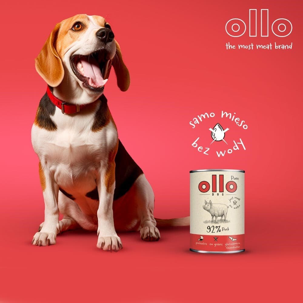 Dog Food Υγρή Τροφή Σκύλων με Χοιρινό χωρίς Σιτηρά 850gr 2