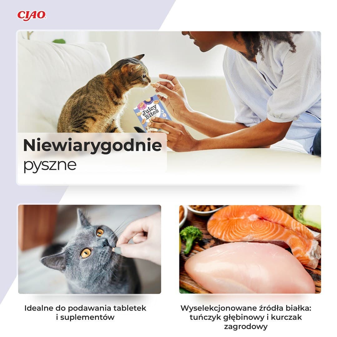 Inaba Churu Cat Juicy Bites Λιχουδιές με Σπιτικό Ζωμό & Καλαμάρι για Ενήλικες Γάτες 33.9gr IN705 7