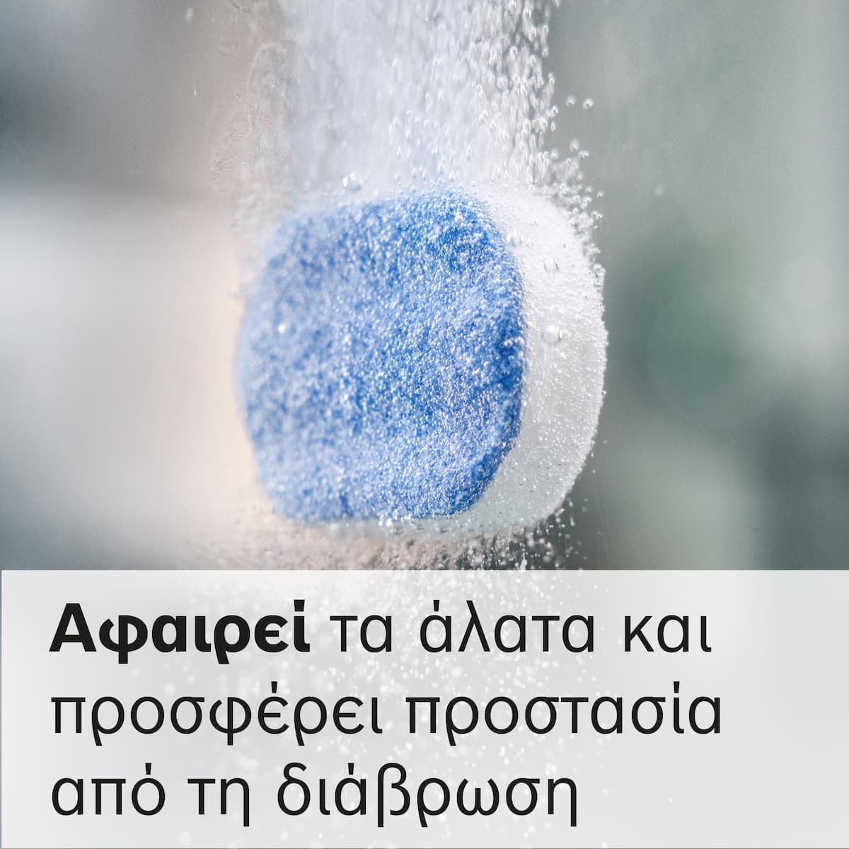 Bosch TCZ8002A Αξεσουάρ Καφετιέρας 6