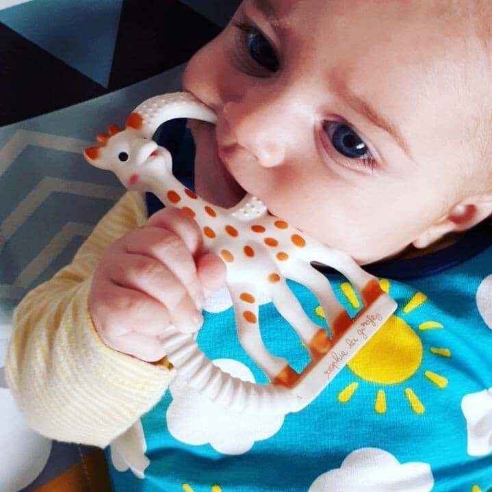 Sophie La Girafe Sophie the Giraffe Μασητικός Κρίκος Οδοντοφυΐας από Καουτσούκ για 0 m+ S200318 5