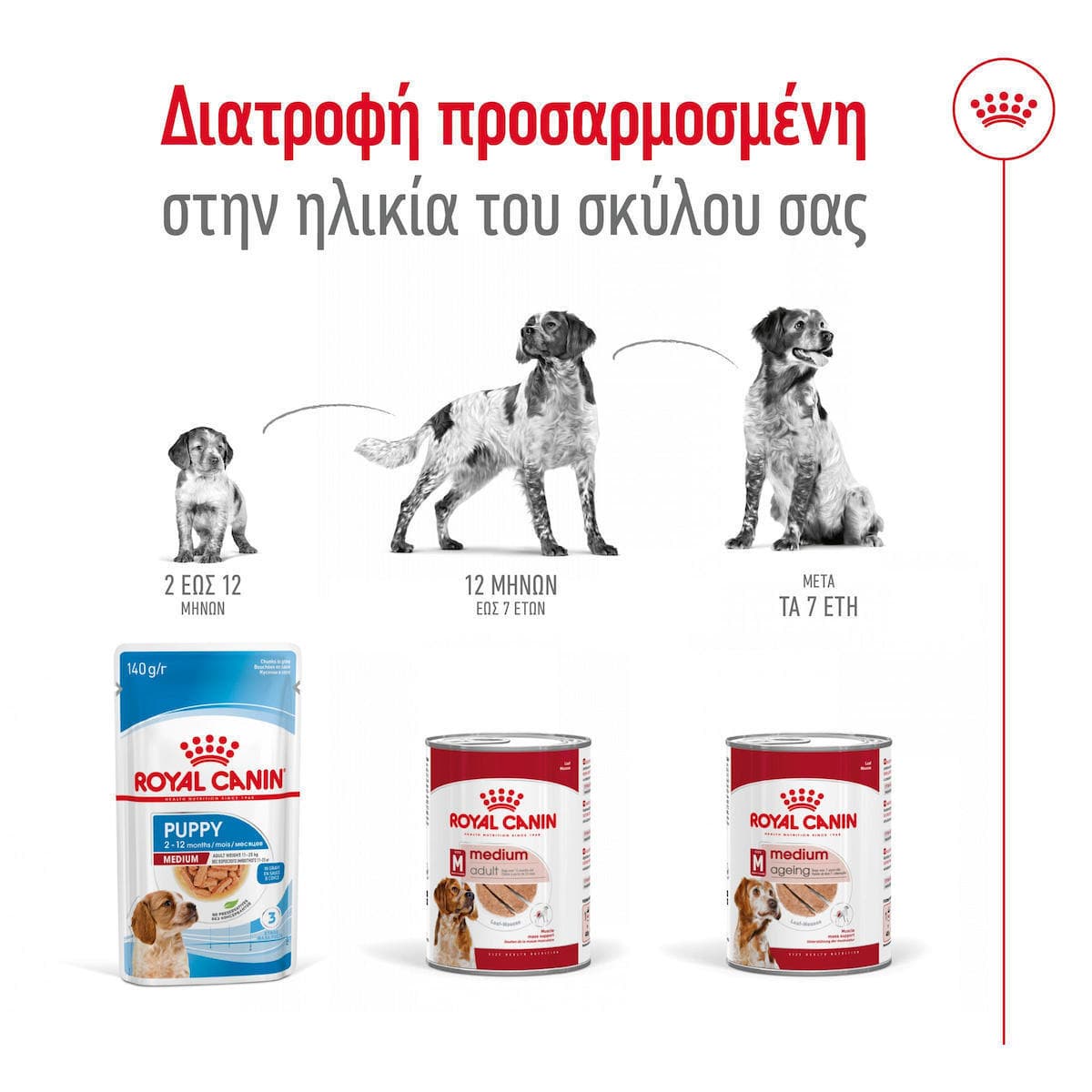 Royal Canin Medium Υγρή Τροφή Σκύλων σε Κονσέρβα Διαίτης με Κρέας 410gr 4