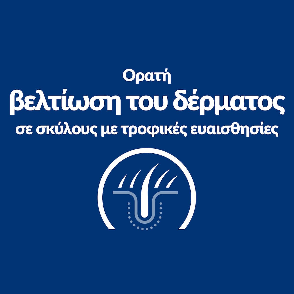 Hill's Pd Canine Derm Complete Υγρή Τροφή Σκύλων σε Κονσέρβα με Πουλερικά 370gr 55041025 4