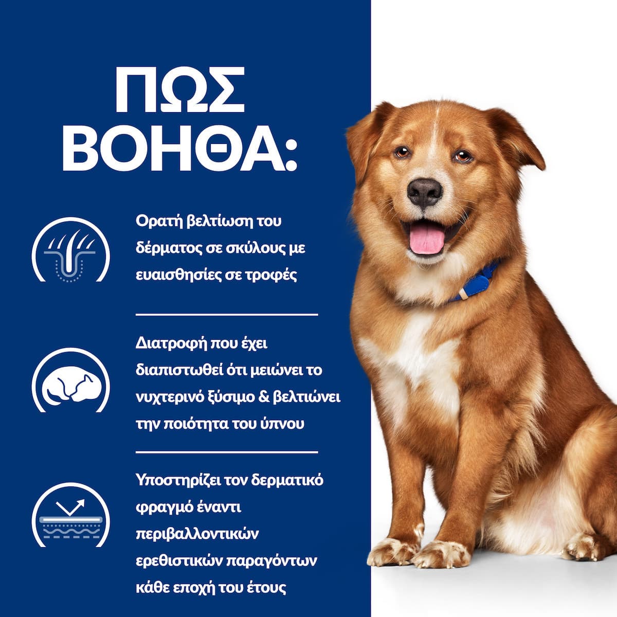 Hill's Pd Canine Derm Complete Υγρή Τροφή Σκύλων σε Κονσέρβα με Πουλερικά 370gr 55041025 6
