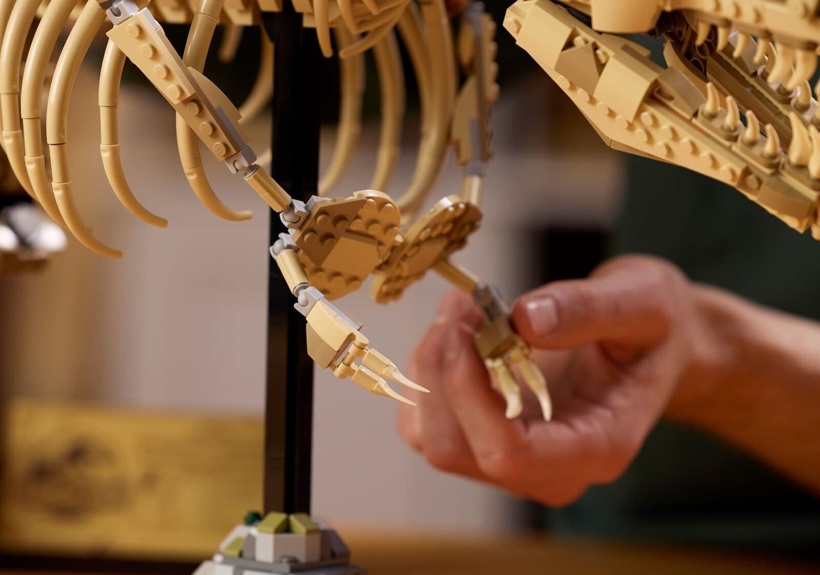 LEGO Jurassic World Dinosaur Fossils - Tyrannosaurus rex για 18+ Ετών 3145τμχ 76968 10