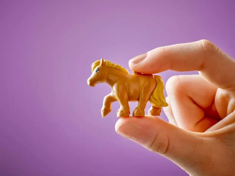LEGO Friends Pony Ranch & Stable για 7+ Ετών 727τμχ 42654 3