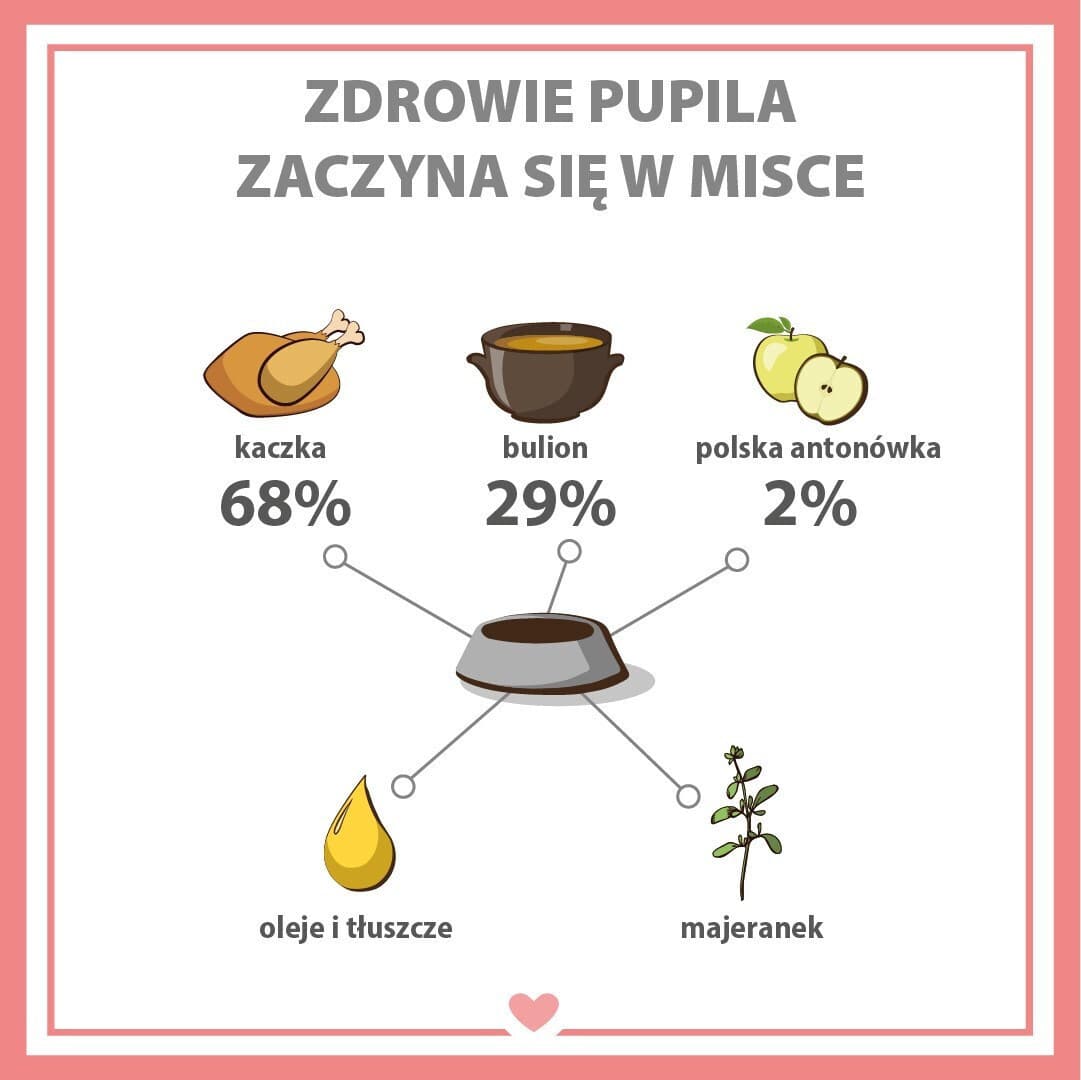 Dog Food Υγρή Τροφή Σκύλων με Κρέας και Πάπια χωρίς Σιτηρά 800gr 2