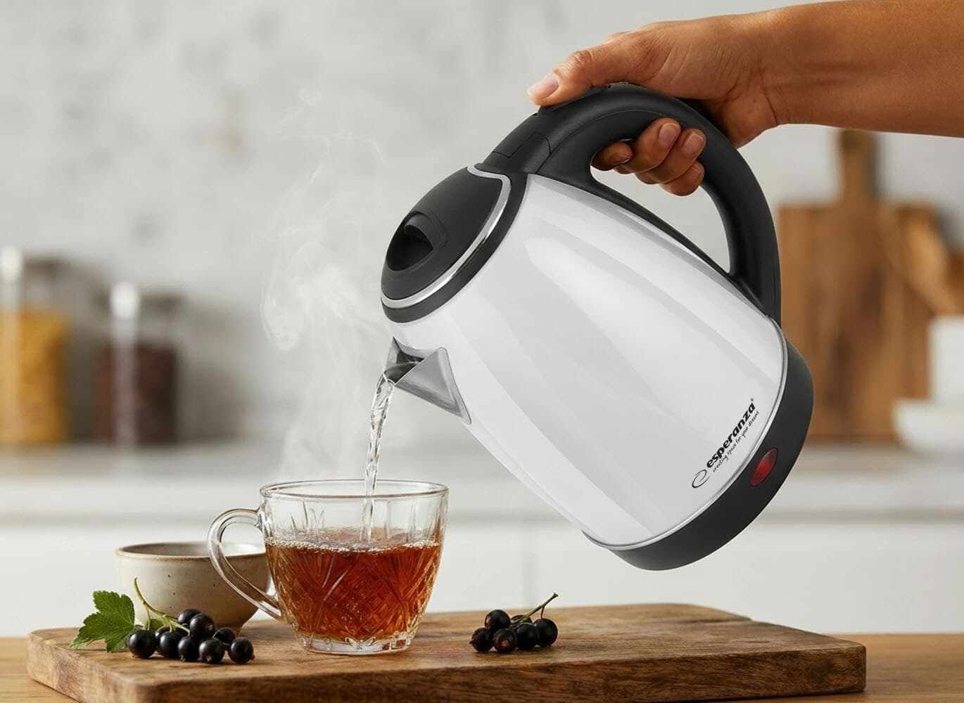 Esperanza Victoria Βραστήρας 1.8lt 1800W Ασημί 3