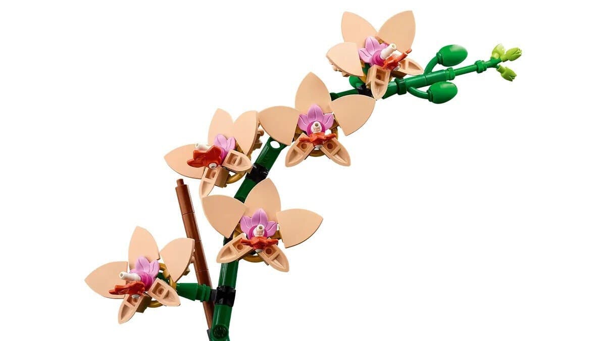 LEGO Botanical Collection Mini Orchid για 18+ Ετών 274τμχ 10343 4