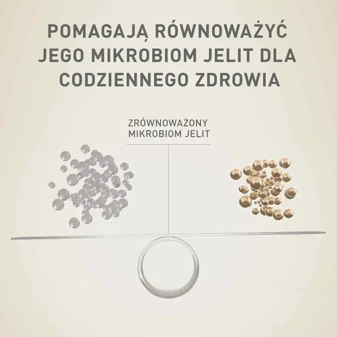 Purina One Υγρή Τροφή Σκύλων σε Φακελάκι με Βοδινό και Κρέας χωρίς Γλουτένη 85gr 5