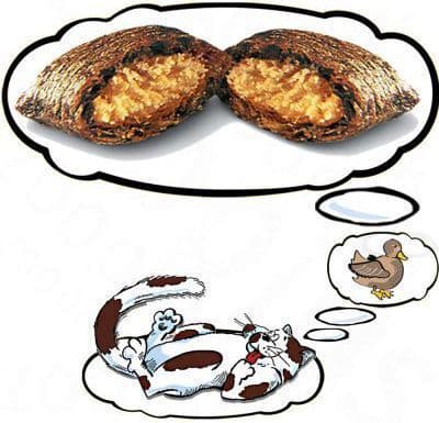 Dreamies Λιχουδιές με Πάπια Duck για Ενήλικες Γάτες 60gr DLZDRSKDK0001 3