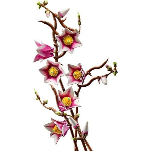 LEGO Botanical Collection Magnolia Branches για 18+ Ετών 435τμχ 11510 5