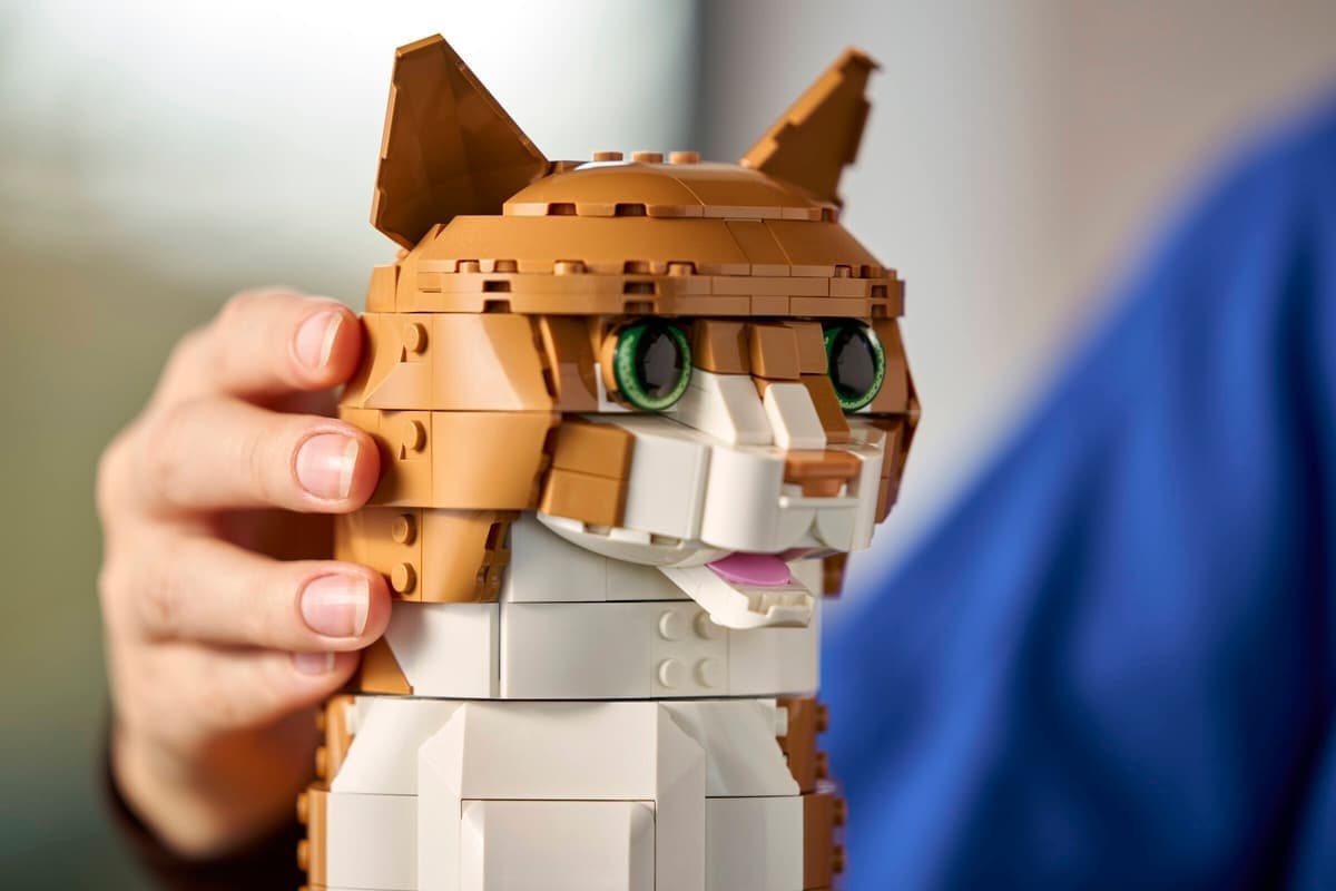 LEGO Ideas Orange Cat για 18+ Ετών 1755τμχ 21376 9