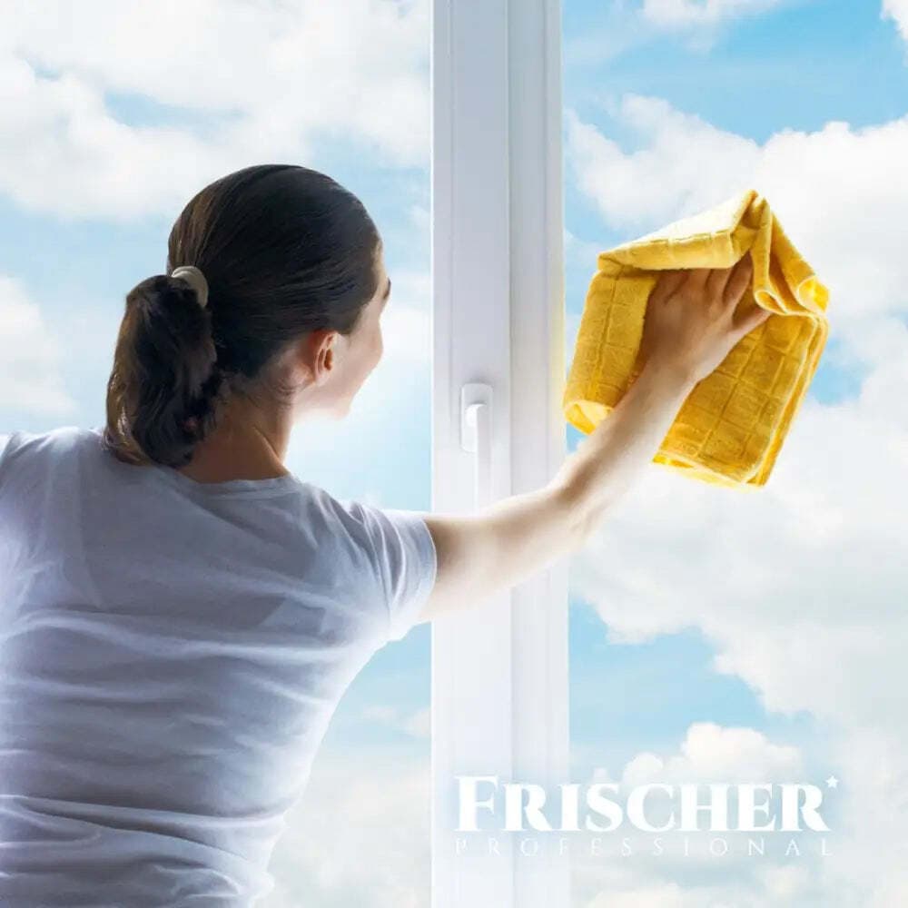 Frischer Καθαριστικό Spray Τζαμιών 500ml FR00233_500 4