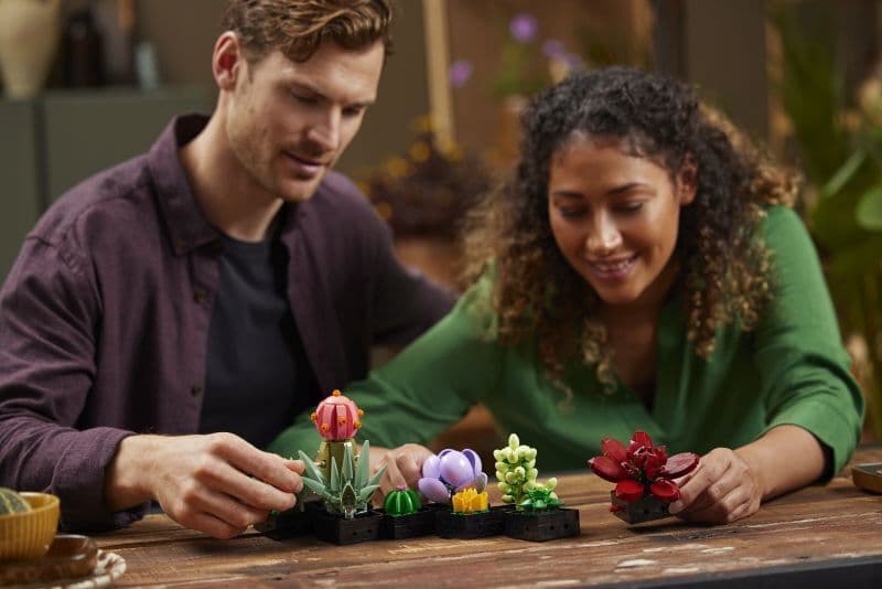 LEGO Creator Succulents για 18+ Ετών 771τμχ 10309 10