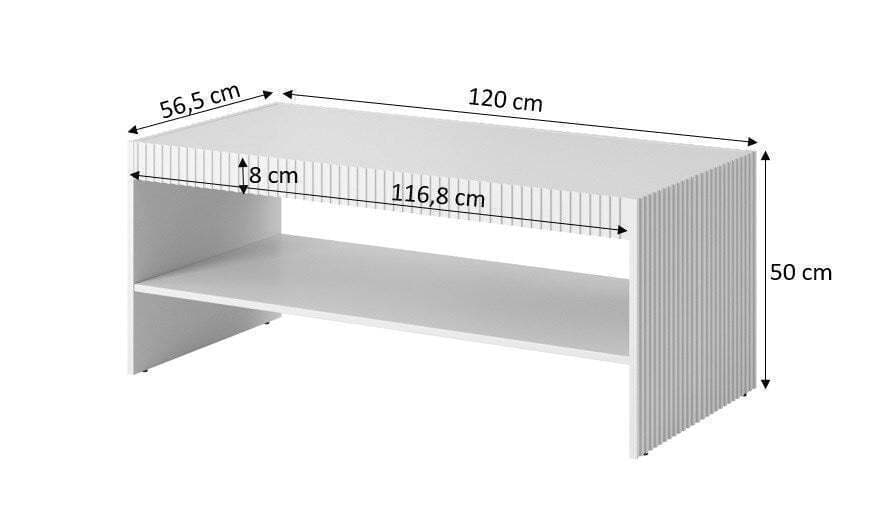 Ορθογώνιο Κεντρικό Τραπεζάκι Cama Ξύλινο White Matte Μ120xΠ60xΥ50εκ. 3