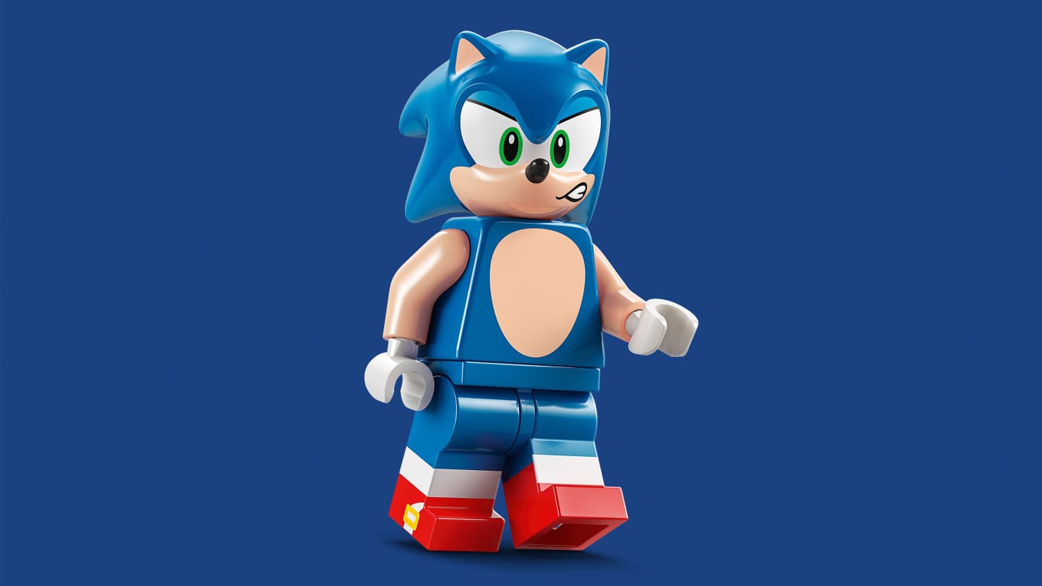 LEGO Sonic The Hedgehog Sonic's Campfire Clash για 7+ Ετών 177τμχ 77001 2