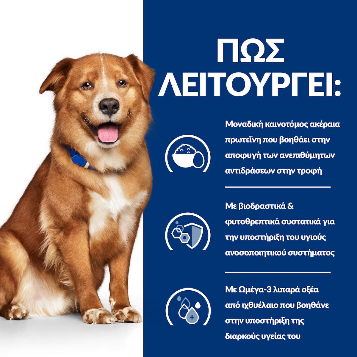 Hill's Pd Canine Derm Complete Υγρή Τροφή Σκύλων σε Κονσέρβα με Πουλερικά 370gr 55041025 5