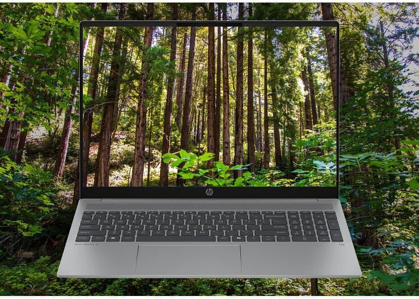 HP OmniBook 5 AI 16-af1216nw 16" OLED FHD+ (Core 7-255U/16GB/512GB SSD/W11 Home) (US Keyboard) 3