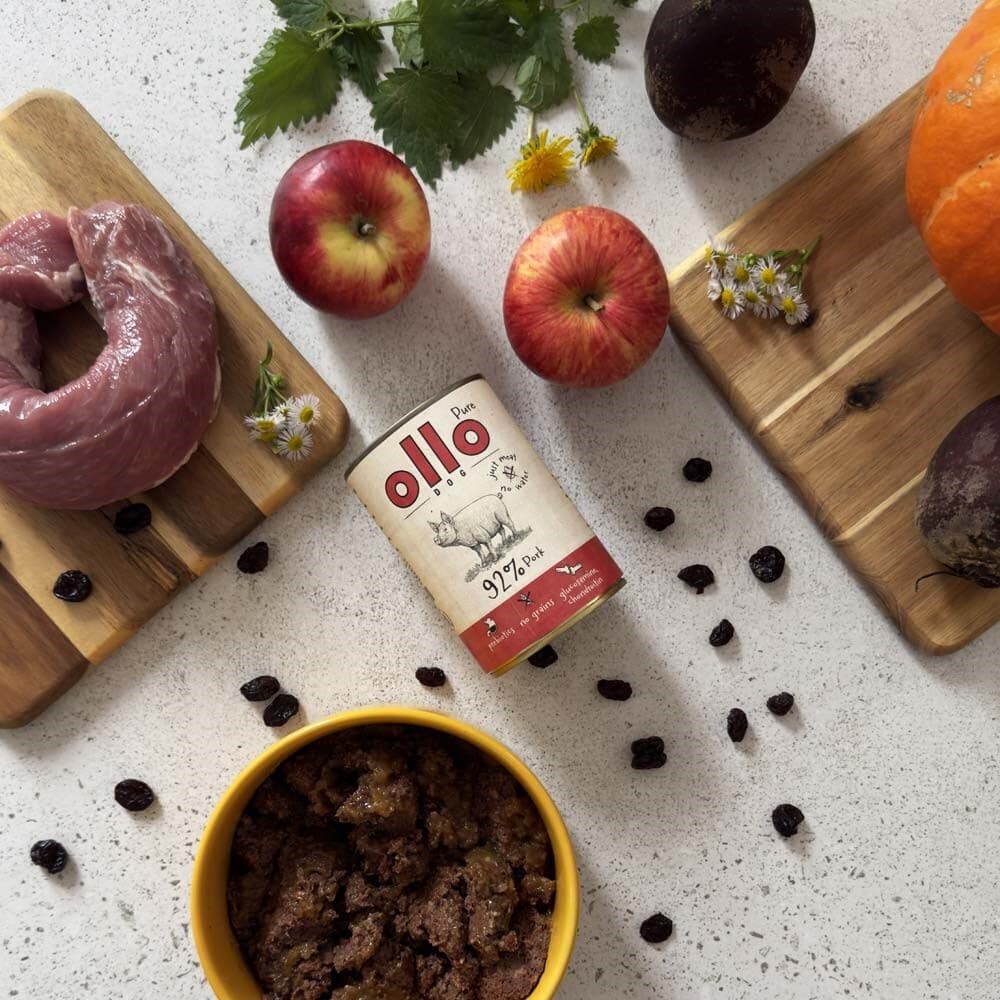 Dog Food Υγρή Τροφή Σκύλων με Χοιρινό χωρίς Σιτηρά 850gr 12