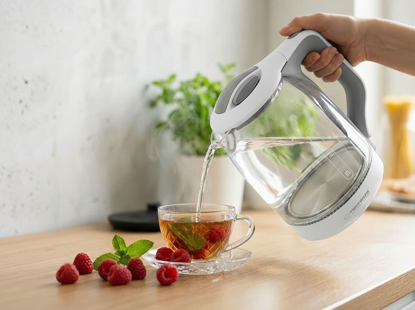 Esperanza Βραστήρας 1.7lt 1500W Λευκός EKK025W 4