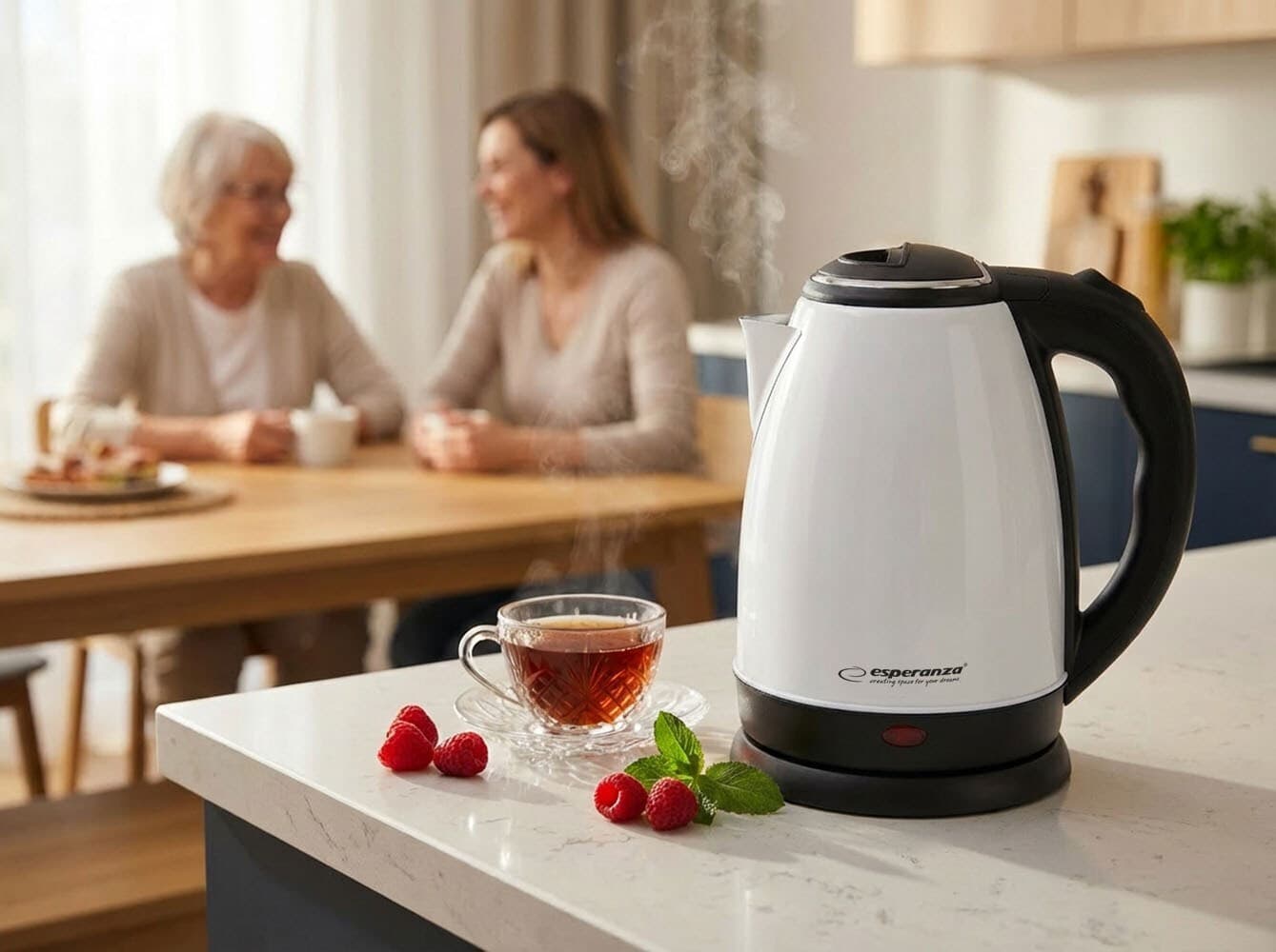 Esperanza Victoria Βραστήρας 1.8lt 1800W Ασημί 2